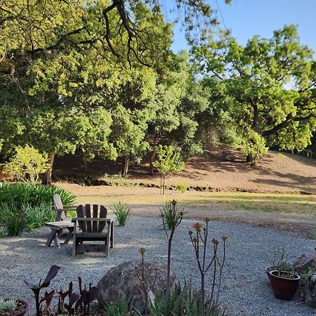 Amitabha Wine Country Cottage Santa Rosa Exterior photo