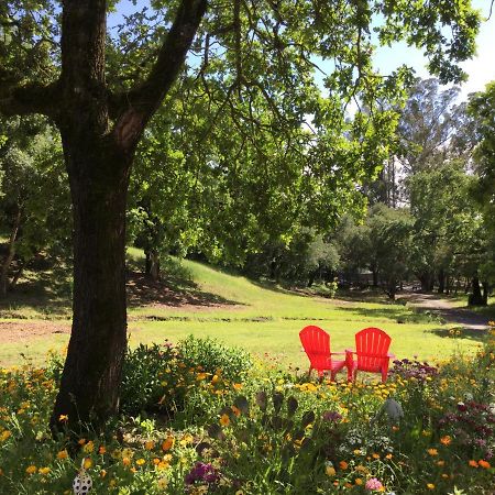 Amitabha Wine Country Cottage Santa Rosa Exterior photo