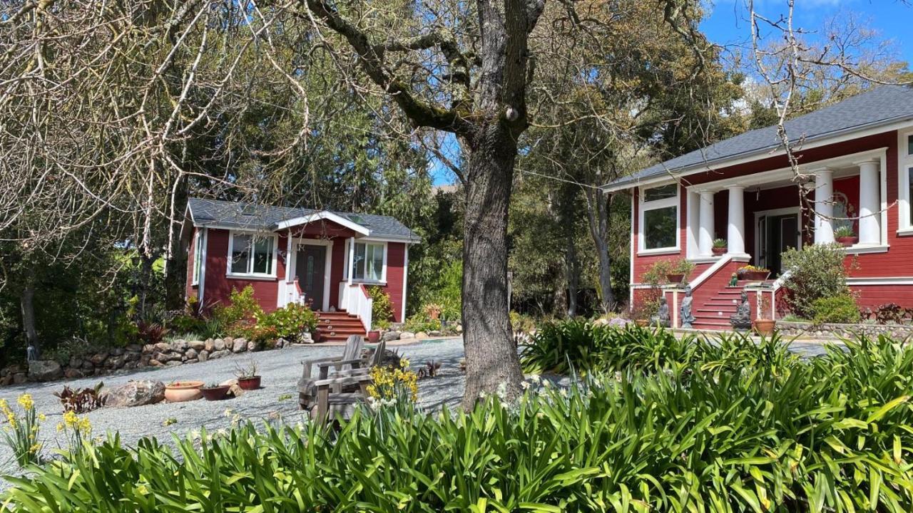 Amitabha Wine Country Cottage Santa Rosa Exterior photo