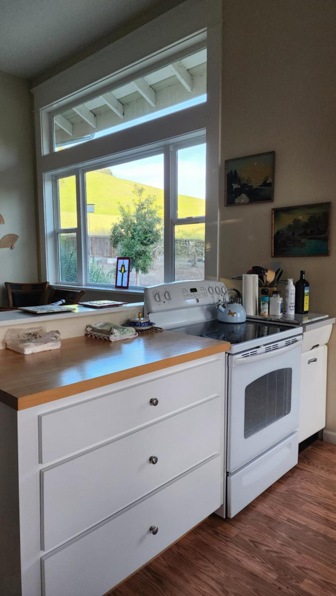 Amitabha Wine Country Cottage Santa Rosa Exterior photo
