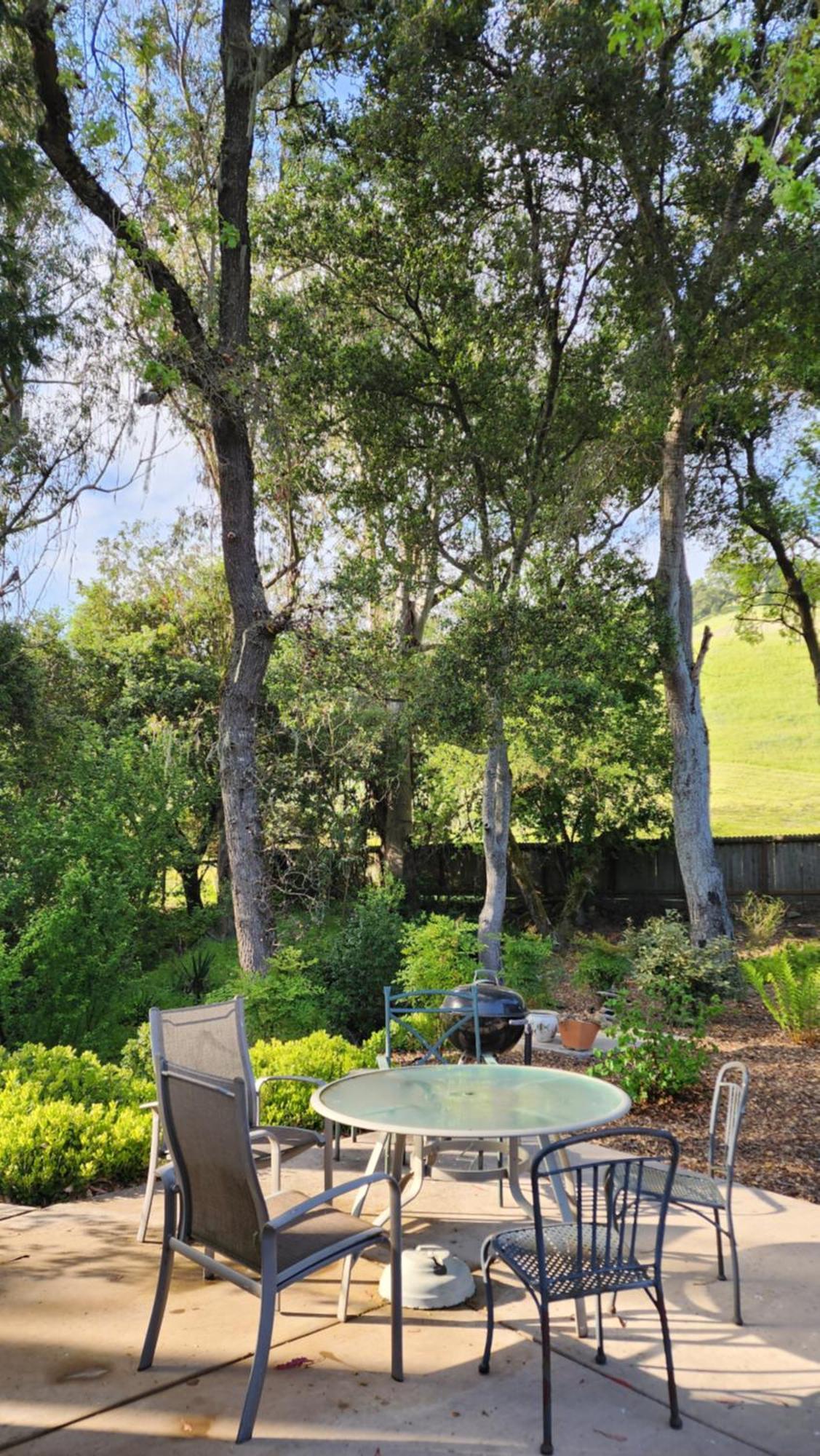 Amitabha Wine Country Cottage Santa Rosa Exterior photo