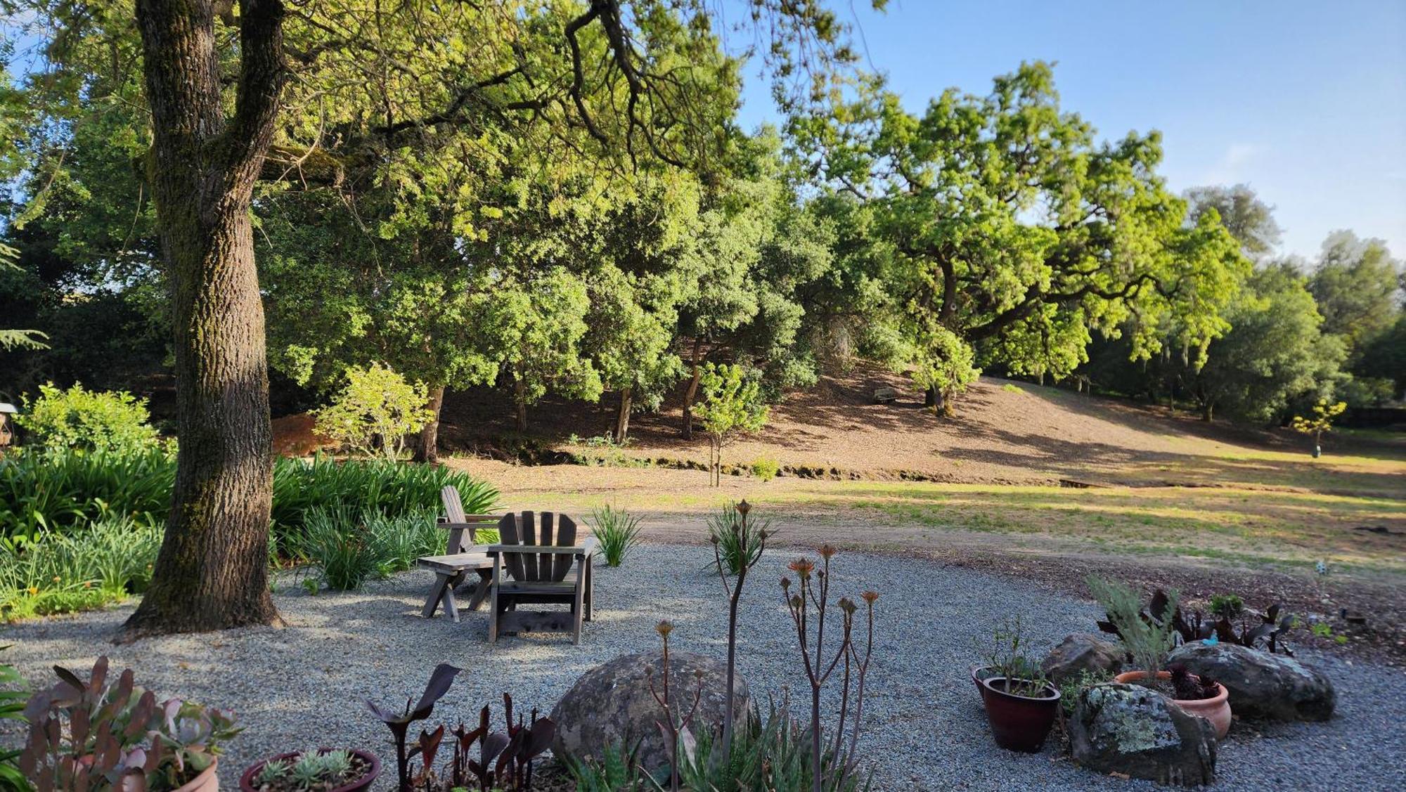 Amitabha Wine Country Cottage Santa Rosa Exterior photo