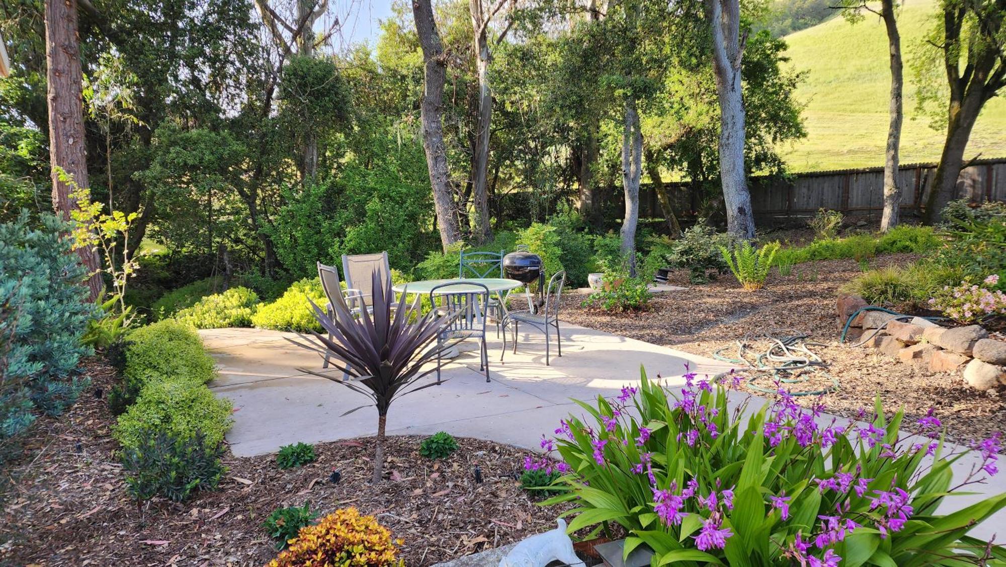 Amitabha Wine Country Cottage Santa Rosa Exterior photo