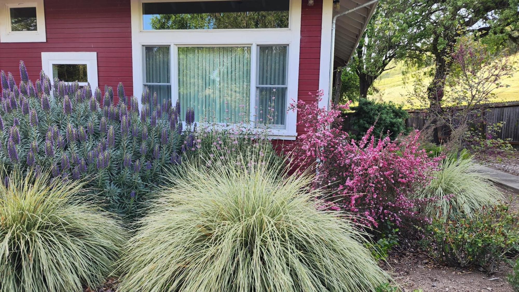 Amitabha Wine Country Cottage Santa Rosa Exterior photo