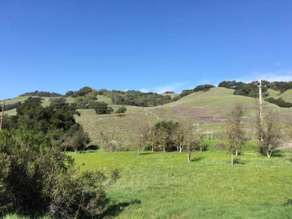 Amitabha Wine Country Cottage Santa Rosa Exterior photo